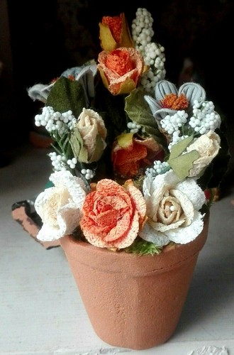 Piantina pianta fiori - fiori, casa